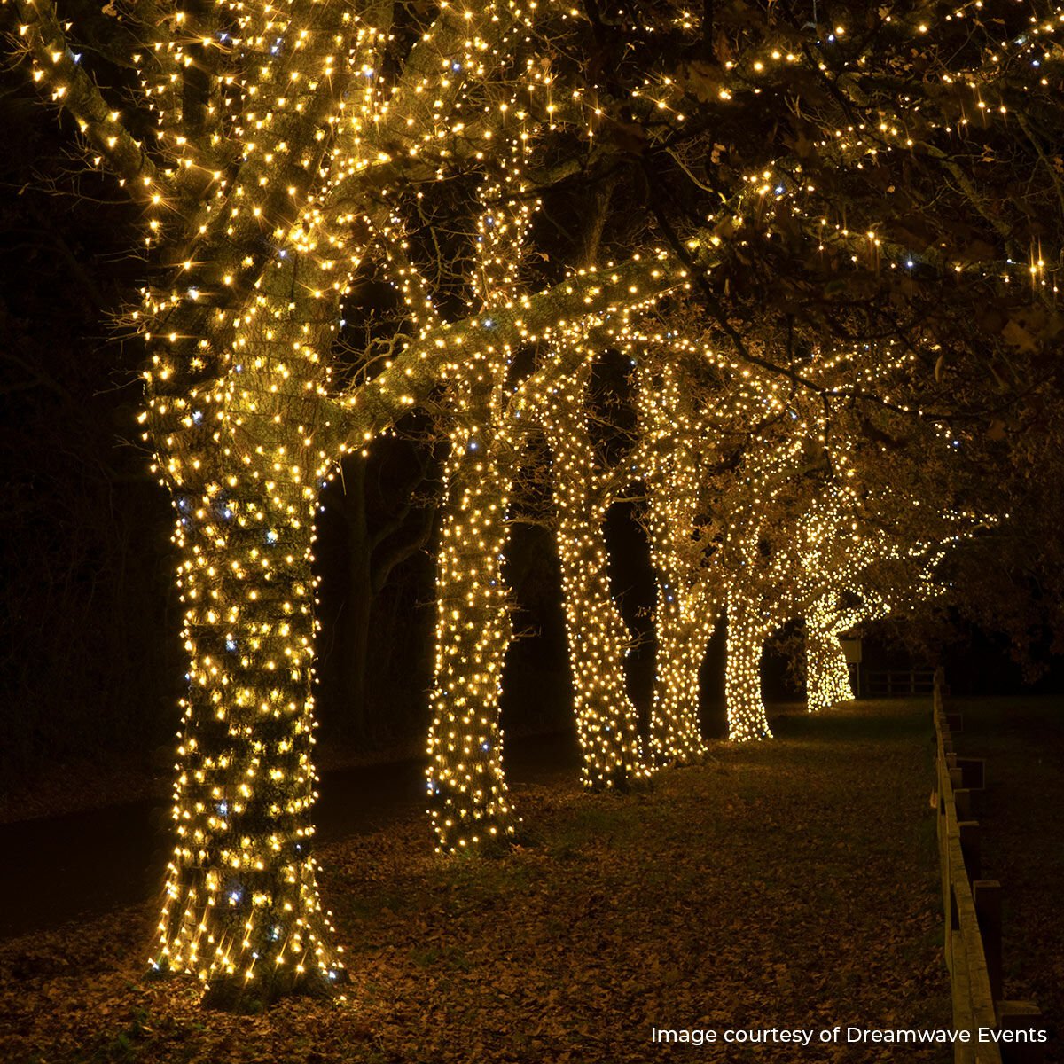Commercial Christmas String Lights