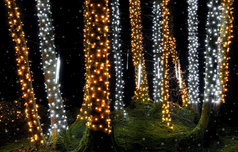 Outdoor tree lights