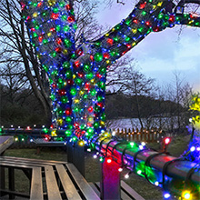 Multi Coloured outdoor Christmas tree lights