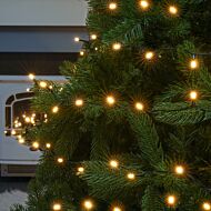 Outdoor Christmas Tree LED Fairy Lights