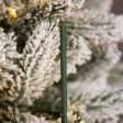 'O Christmas Tree' Scented Christmas Tree Scentsicles, 6 Pack