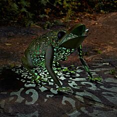 Solar Novelty Frog Light