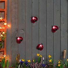 Solar Novelty Ladybird Wall Light, 3 Pack