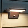 Solar PIR Sentry Light, Warm White LEDs