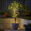 Solar Fairy Lights, 50 Warm White LEDs, 5m