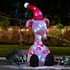 Battery Acrylic LED Ice Rat Christmas Figure