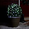 5m Indoor & Outdoor Battery Berry Fairy Lights, Green Cable