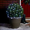 5m Indoor & Outdoor Battery Fairy Lights, White LEDs, Green Cable