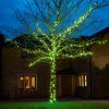 5m Green Colour Fairy Lights, Connectable, 50 LEDs, Dark Green Cable