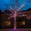 5m Purple Fairy Lights, Connectable, 50 LEDs, Dark Green Cable