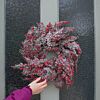 50cm Frosted Berry Christmas Wreath