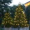 10m Warm White Large Pinecone Connectable String Lights, 50 LEDs