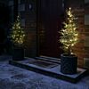 Outdoor Plug In Micro Fairy Lights on Silver Wire, 50 Warm White LEDs