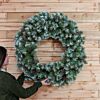 100cm Green Frosted Pinecone Christmas Wreath