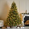 Pre Lit PE Shadowfall Fir Christmas Tree
