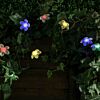 Solar Multi Function Cherry Blossom Fairy Lights, 50 Multi Colour LEDs, 5m
