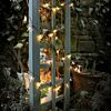 5m Indoory & Outdoor Battery Dragonfly Fairy Lights, Green Cable