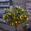 Solar Powered Multi Function LED Fairy Lights