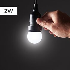 FestoonPro® 2W E27 White LED Festoon Bulb