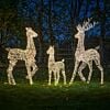 Gold Twist Outdoor Light up Reindeer Family
