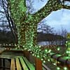 5m Green 40 LED Connectable String Lights on Black Rubber Cable