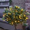 Solar Multi Function Fairy Lights, 100 Warm White LEDs, 10m