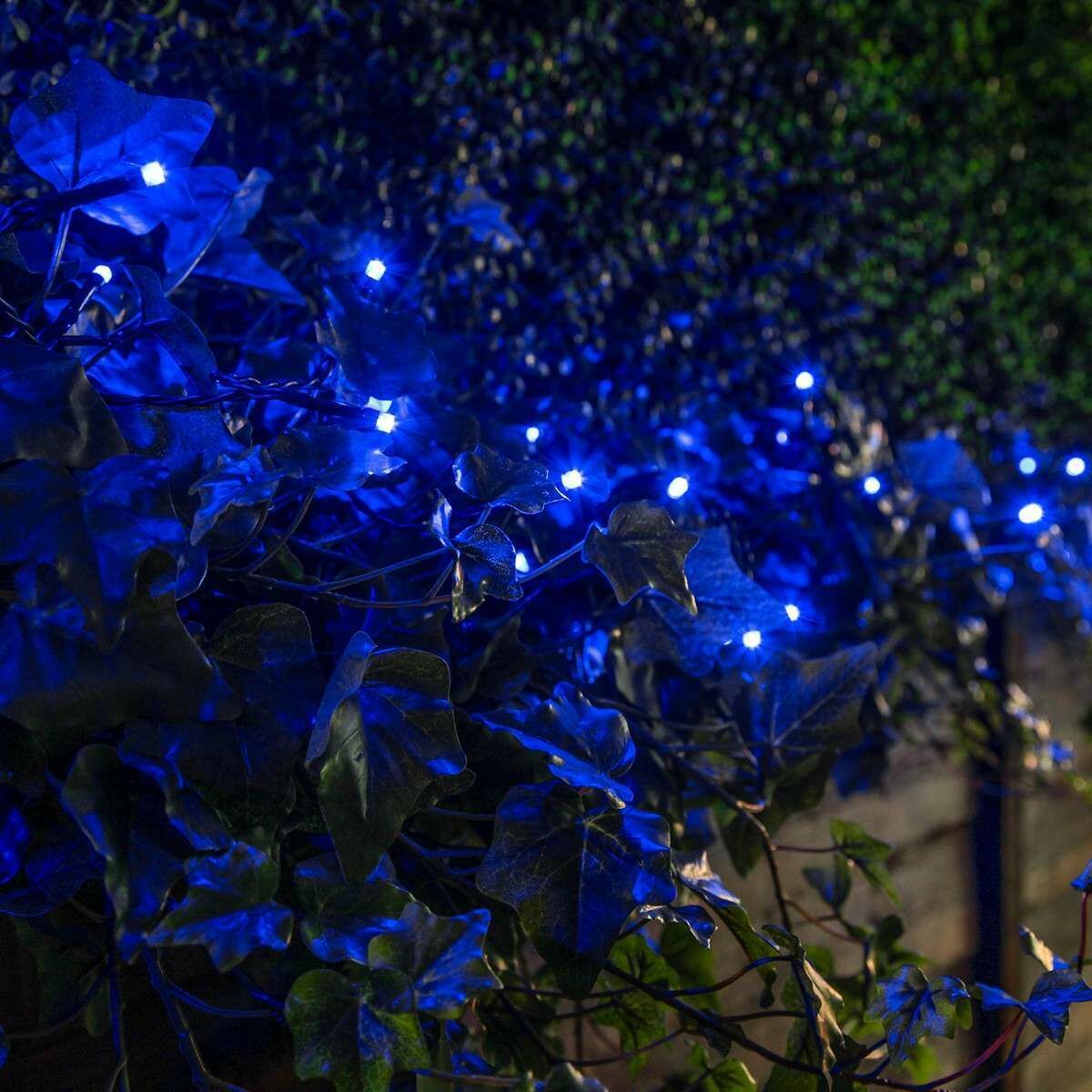 5m Indoor & Outdoor Battery Fairy Lights, Blue LEDs, Green Cable image 9