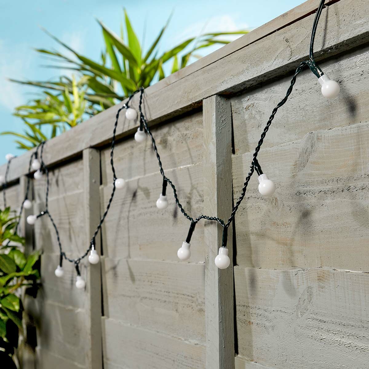 5m Indoor & Outdoor Battery Berry Fairy Lights, White LEDs, Green Cable image 3