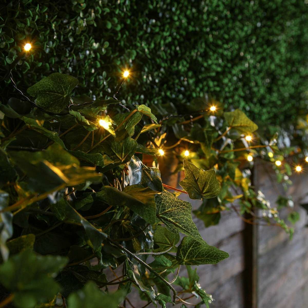 5m Indoor & Outdoor Battery Fairy Lights, Warm White LEDs, Green Cable image 1