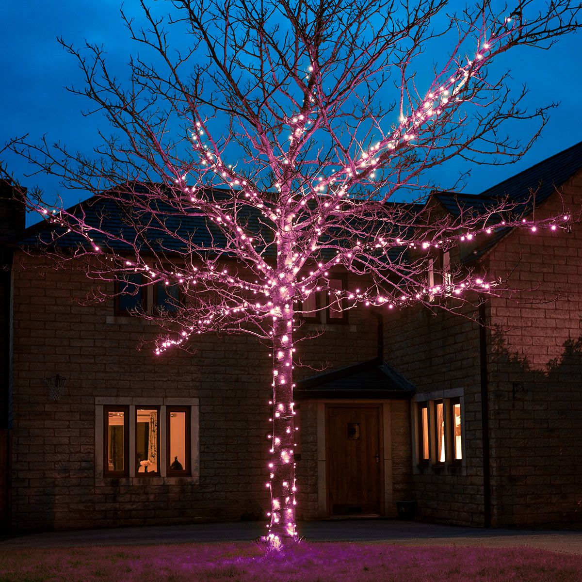 5m Pink Fairy Lights, Connectable, 50 LEDs, Dark Green Cable image 1