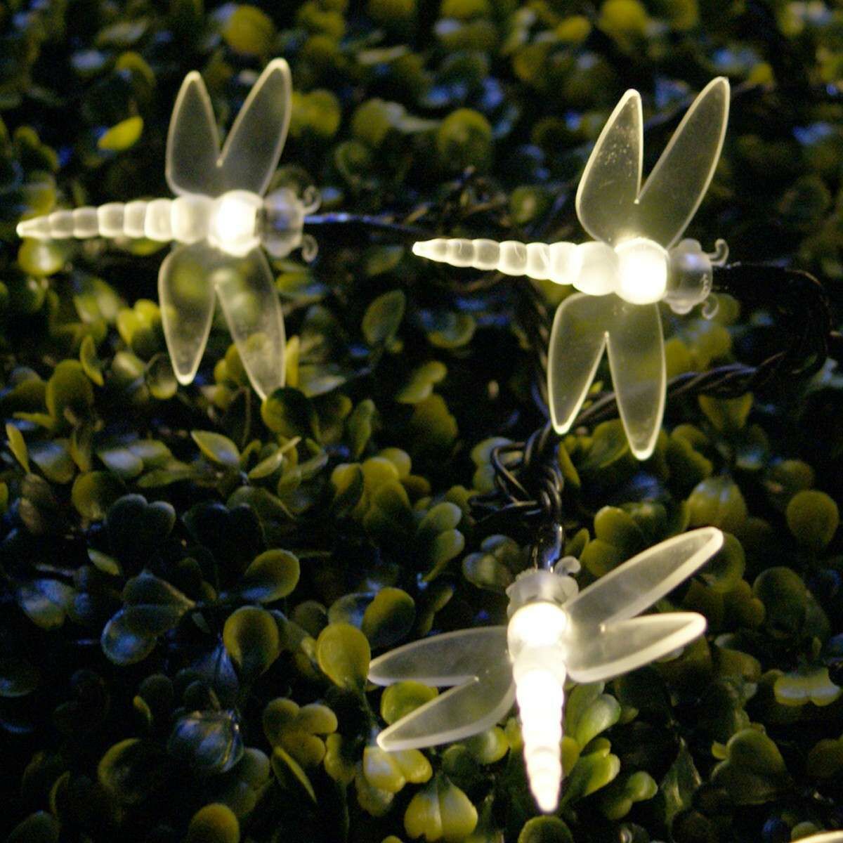 Solar Multi Function Dragonfly Fairy Lights, 100 Warm White LEDs, 10m image 5