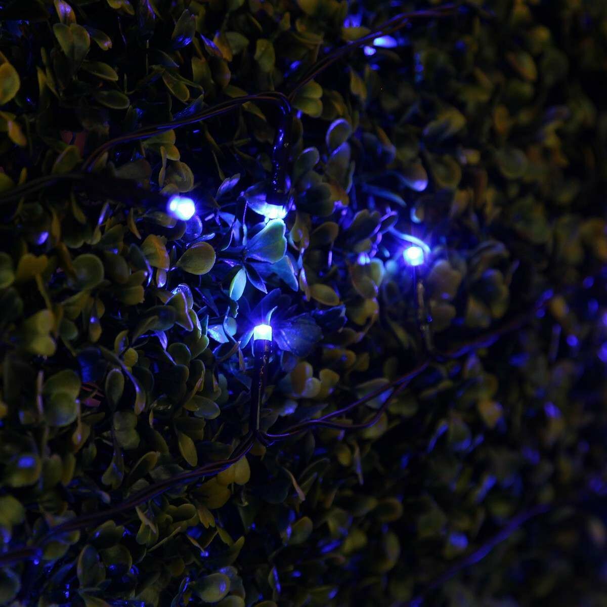 Solar Multi Function Fairy Lights, 50 Blue LEDs, 5m image 2