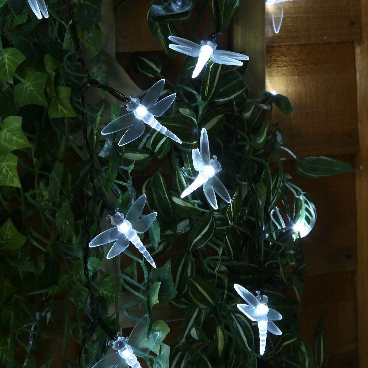 Solar Multi Function Dragonfly Fairy Lights, 50 White LEDs, 5m image 1