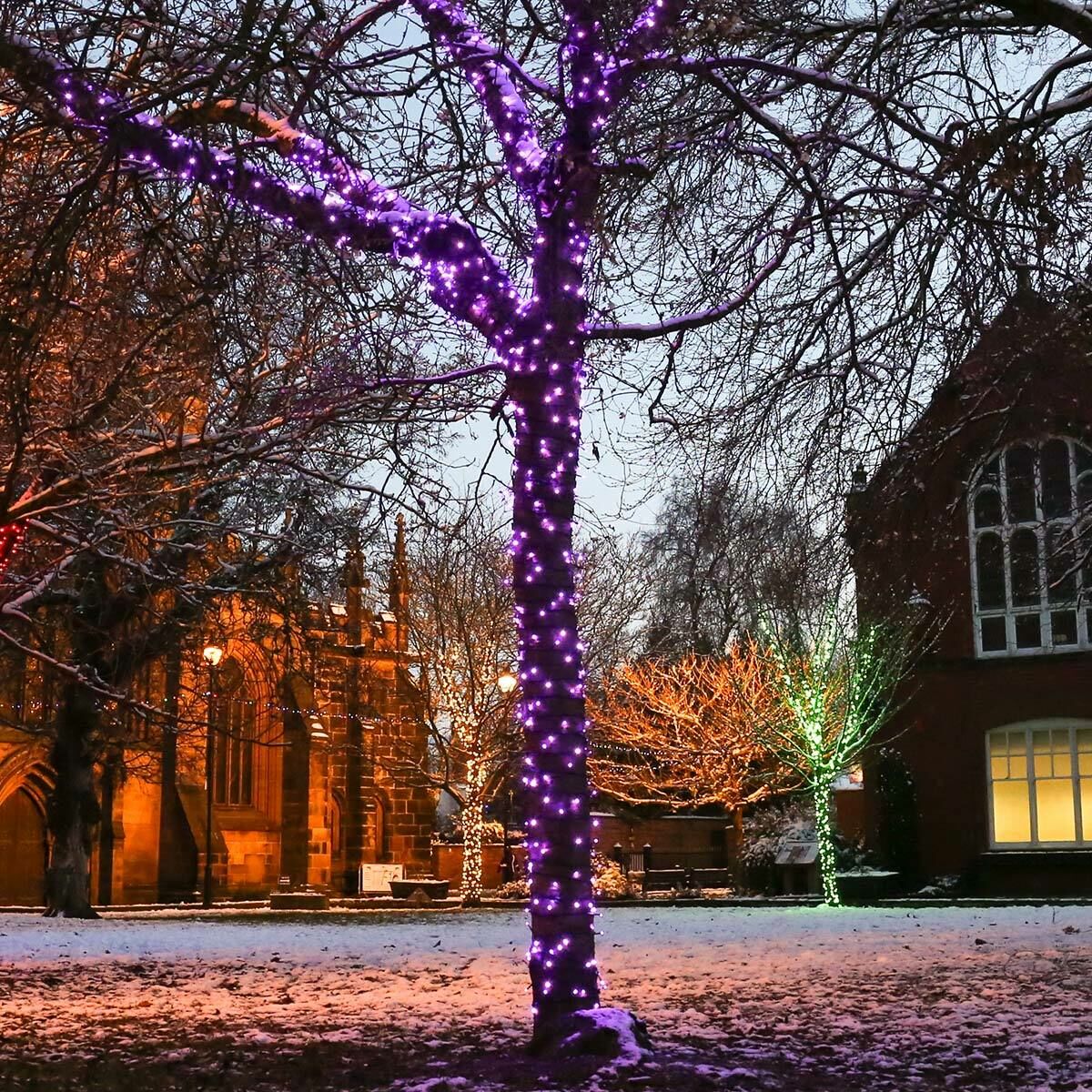 5m Purple Fairy Lights, Connectable, 50 LEDs, Dark Green Cable image 2