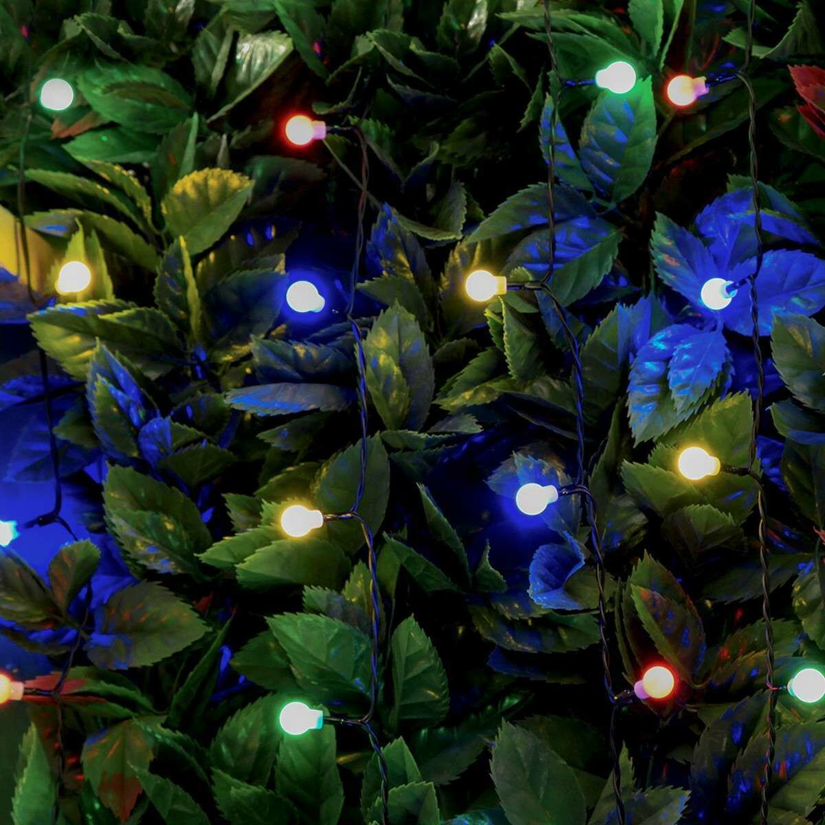 Solar Multi Function Berry Fairy Lights, 100 Multi Colour LEDs, 10m image 3