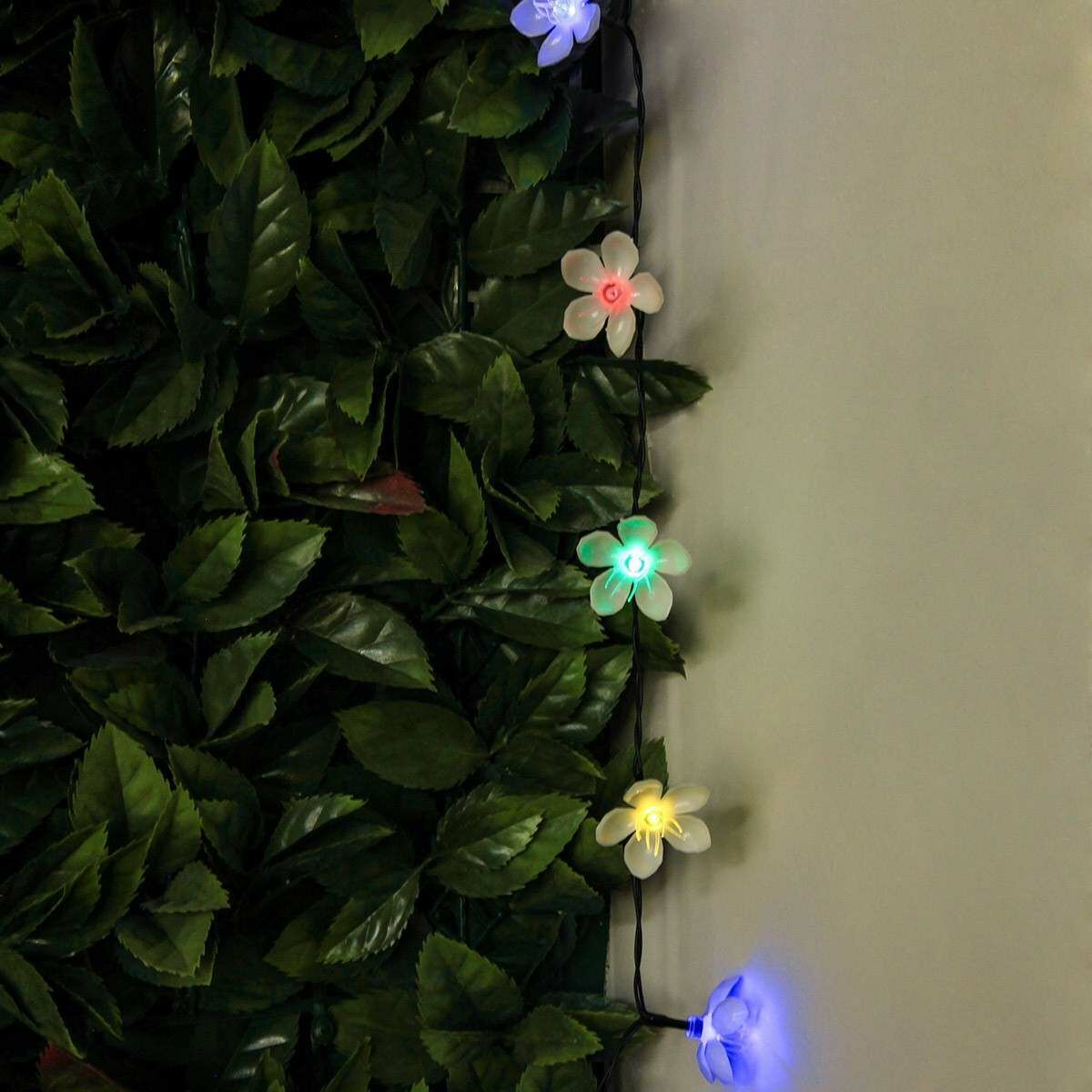 Solar Multi Function Cherry Blossom Fairy Lights, 50 Multi Colour LEDs, 5m image 2