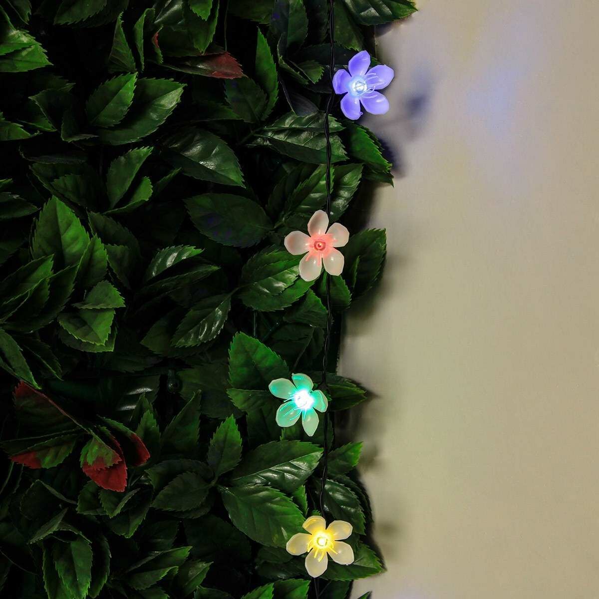 Solar Multi Function Cherry Blossom Fairy Lights, 50 Multi Colour LEDs, 5m image 3