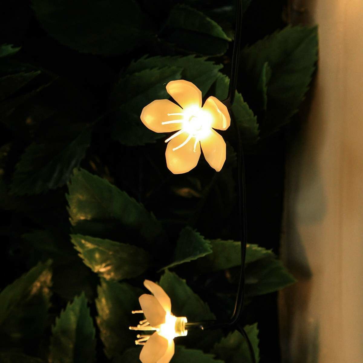 Solar Multi Function Cherry Blossom Fairy Lights, 50 Warm White LEDs, 5m image 2