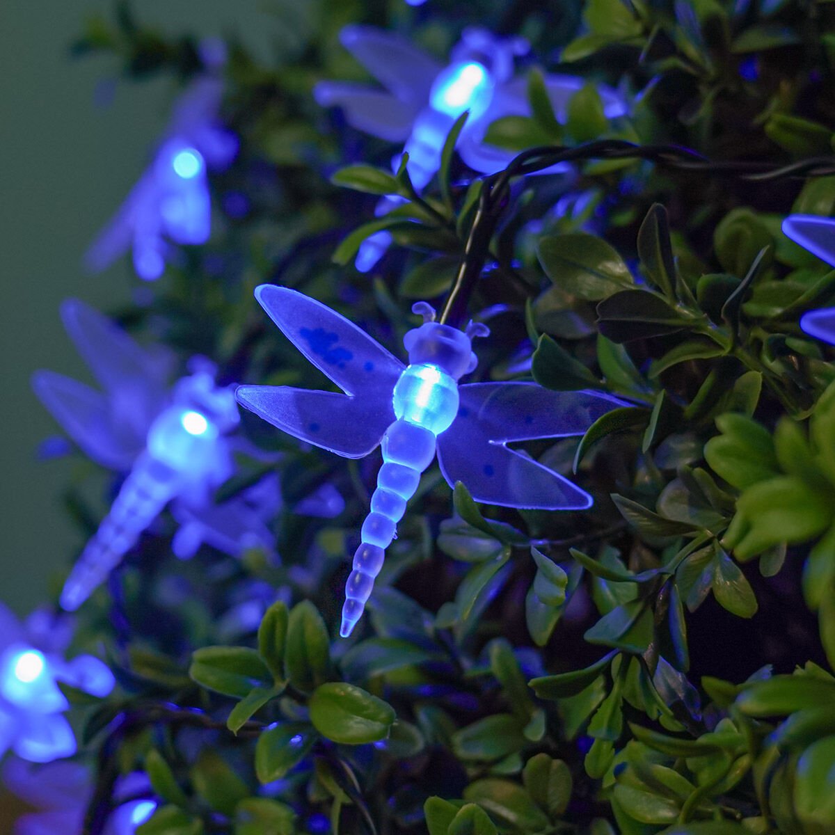 Solar Multi Function Dragonfly Fairy Lights, 100 Blue LEDs, 10m image 2