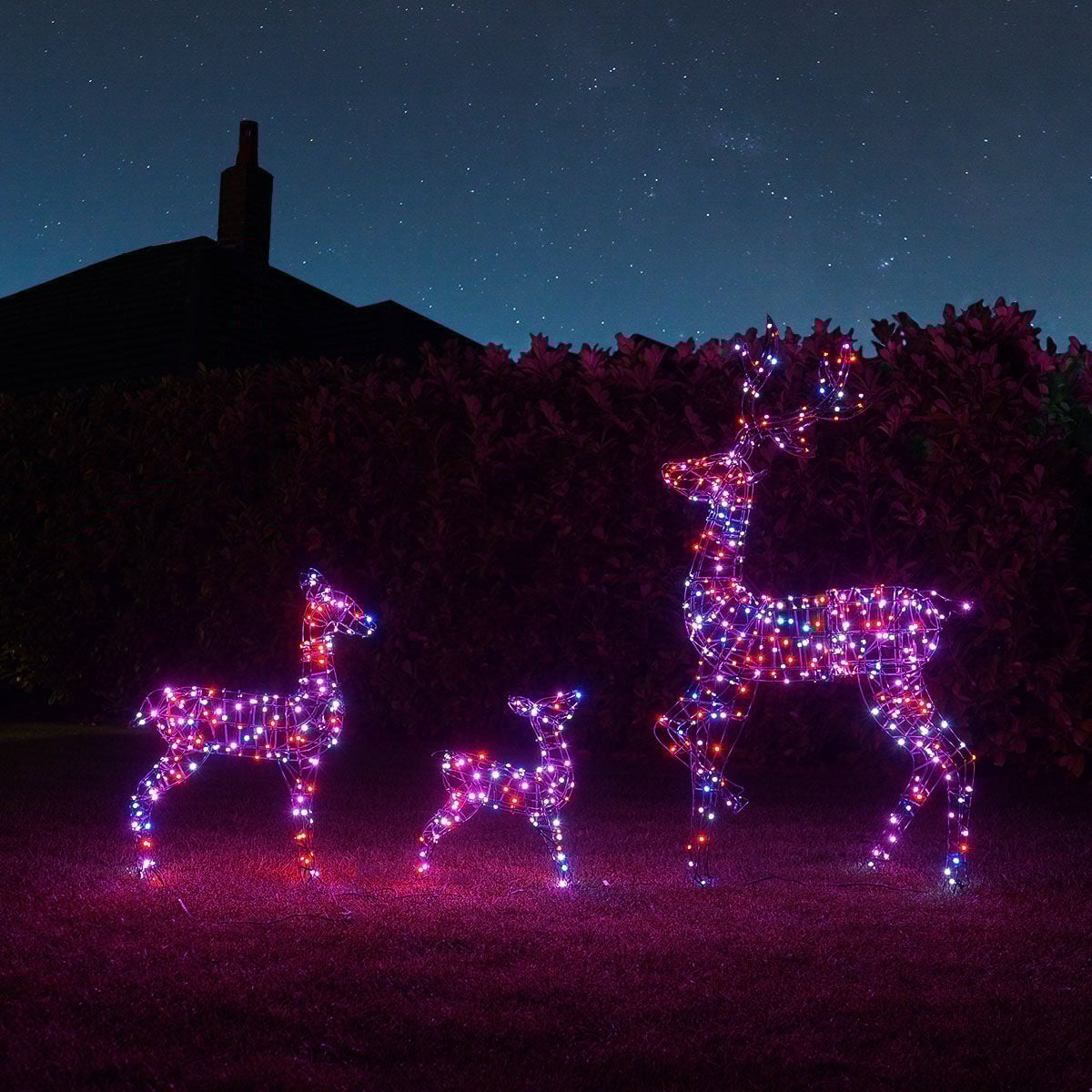 Connectable Outdoor Light up Reindeer Family with Remote Control - Adjustable Colours image 3