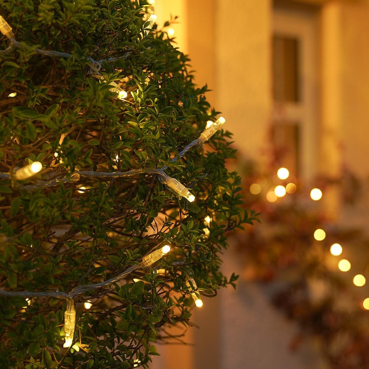 ConnectGo® Warm White Connectable Outdoor Fairy Lights Clear Cable image 7