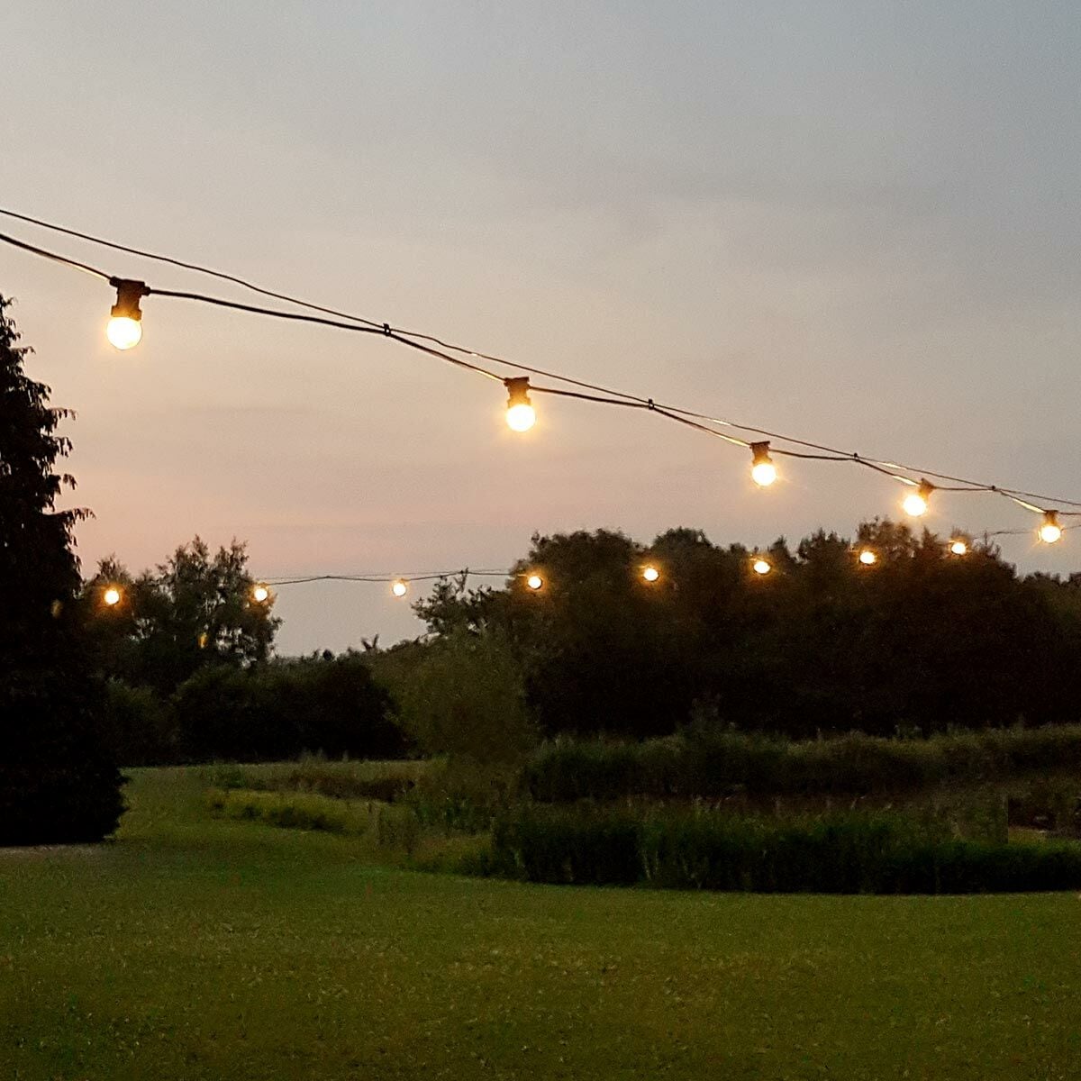 FestoonPro® Connectable B22 10m Festoon Belt, 20 Frosted LED Bulbs image 8