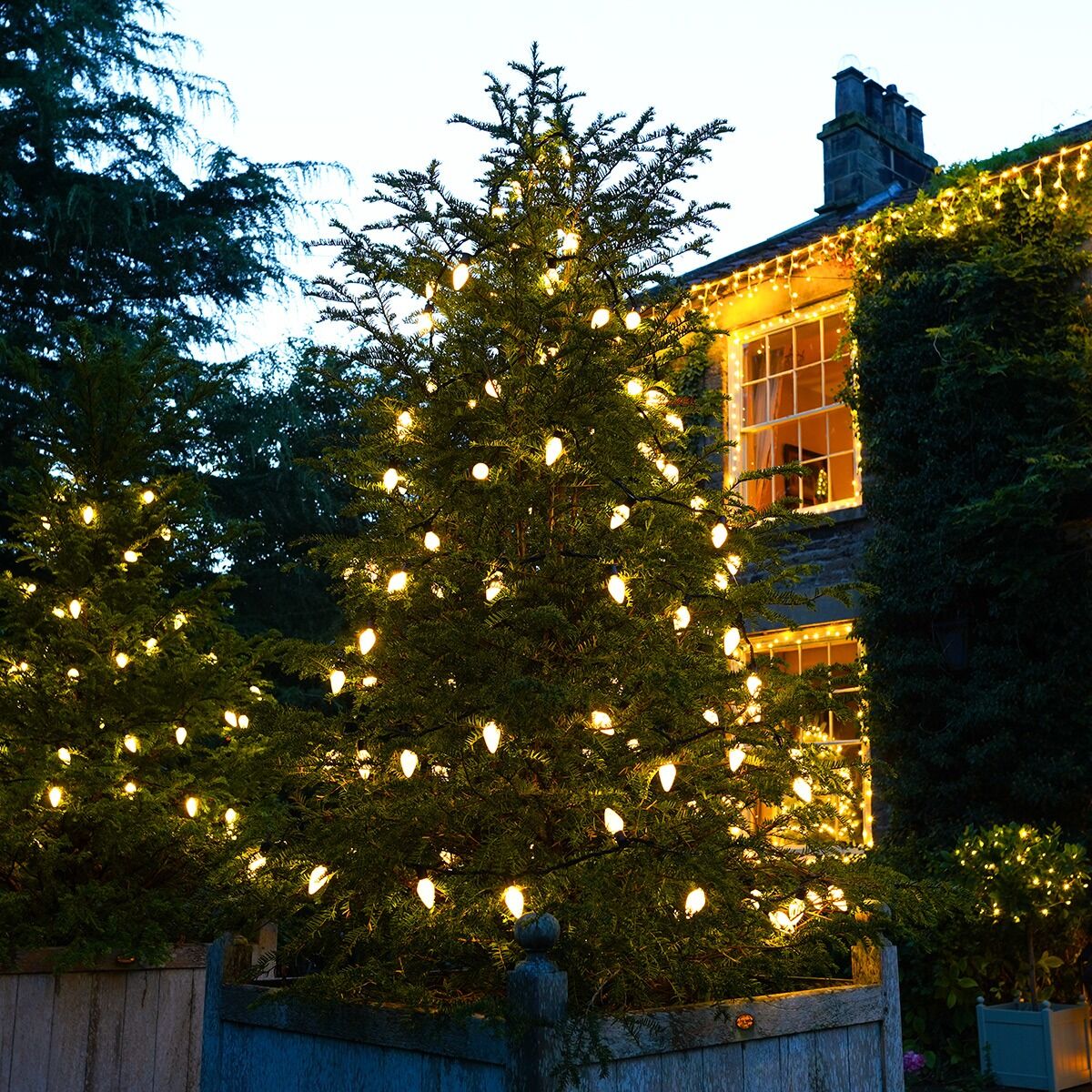 10m Warm White 50 LED Connectable Pinecone String Lights on Black Rubber Cable image 1