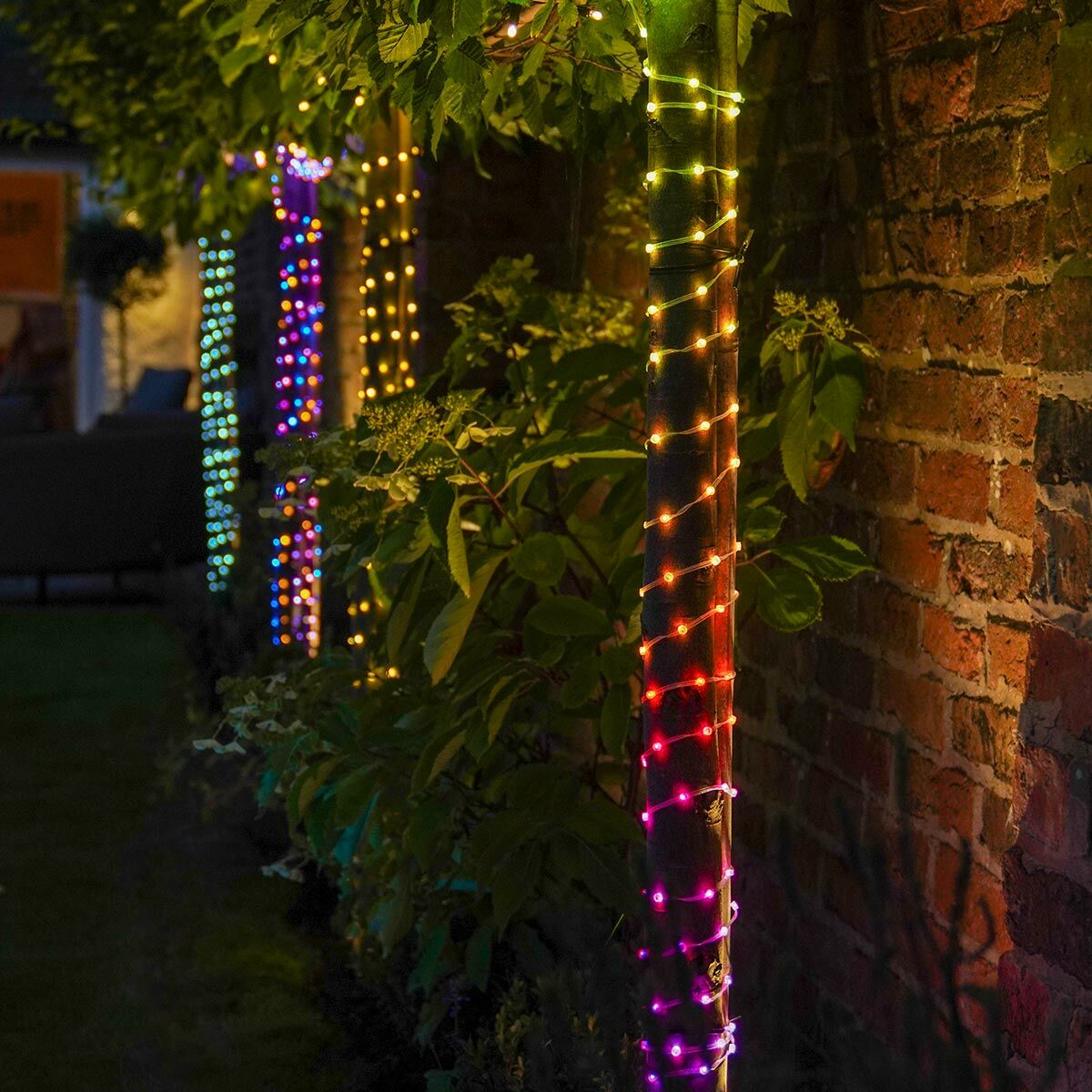 20m Smart App Controlled Twinkly Dot Lights, Black Cable - Gen II image 1