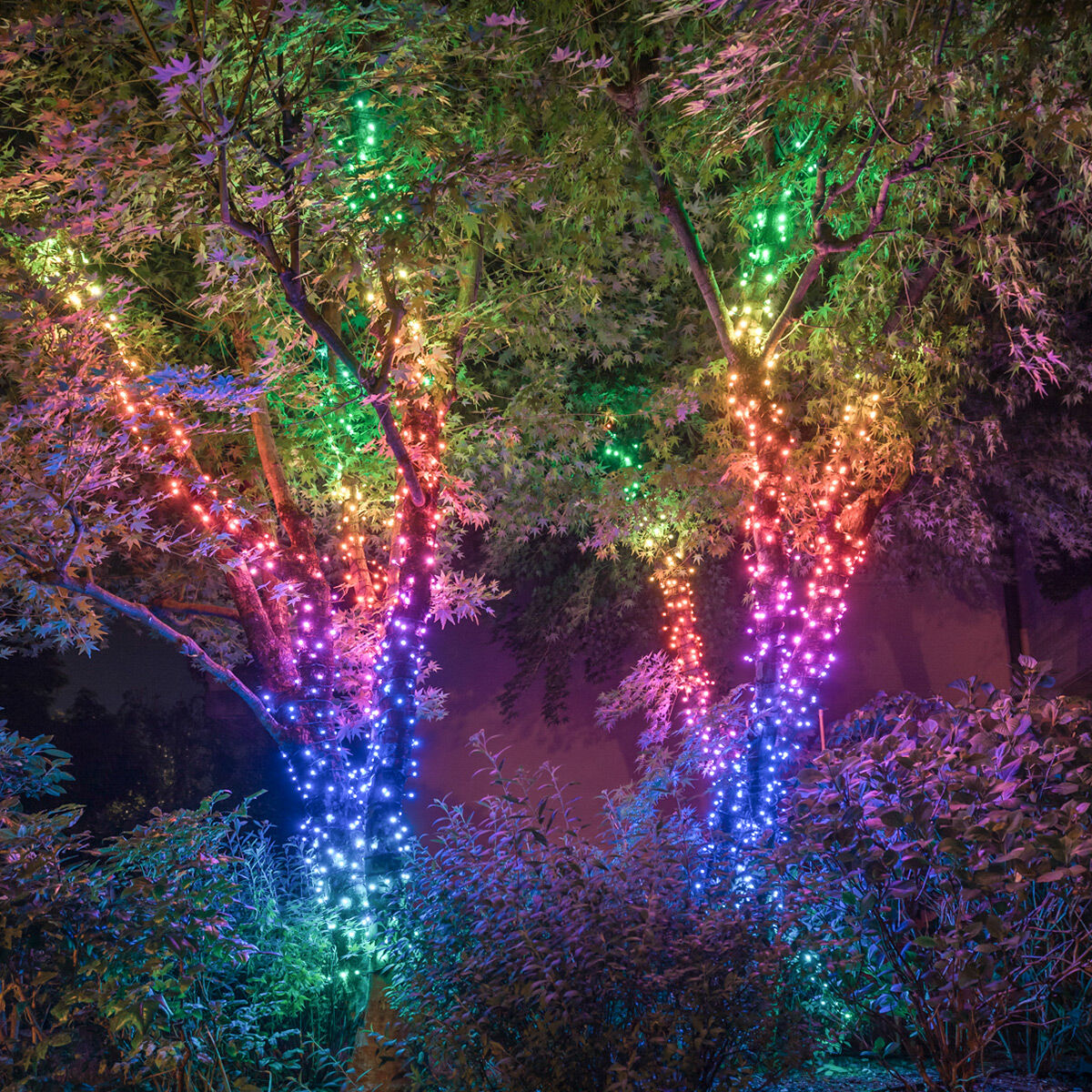 48m Smart App Controlled Twinkly Christmas Fairy Lights - Gen II image 4