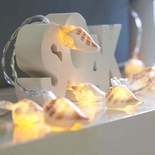 Battery Real Shell Fairy Lights, 10 Warm White LEDs