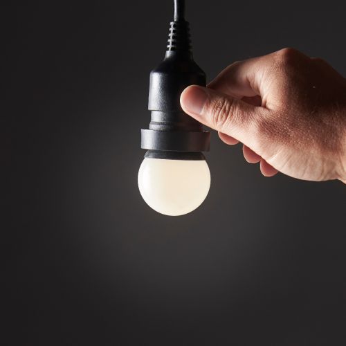 FestoonPro® B22 LED Festoon Bulb