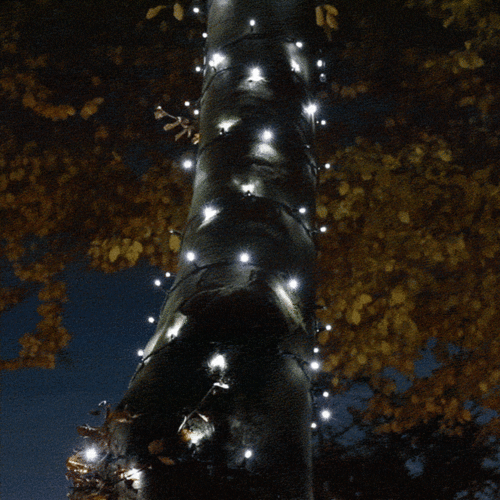 Connectable Flash Bulb String Lights on Black Rubber Cable