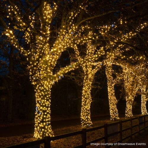 ConnectPro® Outdoor String Lights, Warm White with White Flash LED, Black Rubber Cable